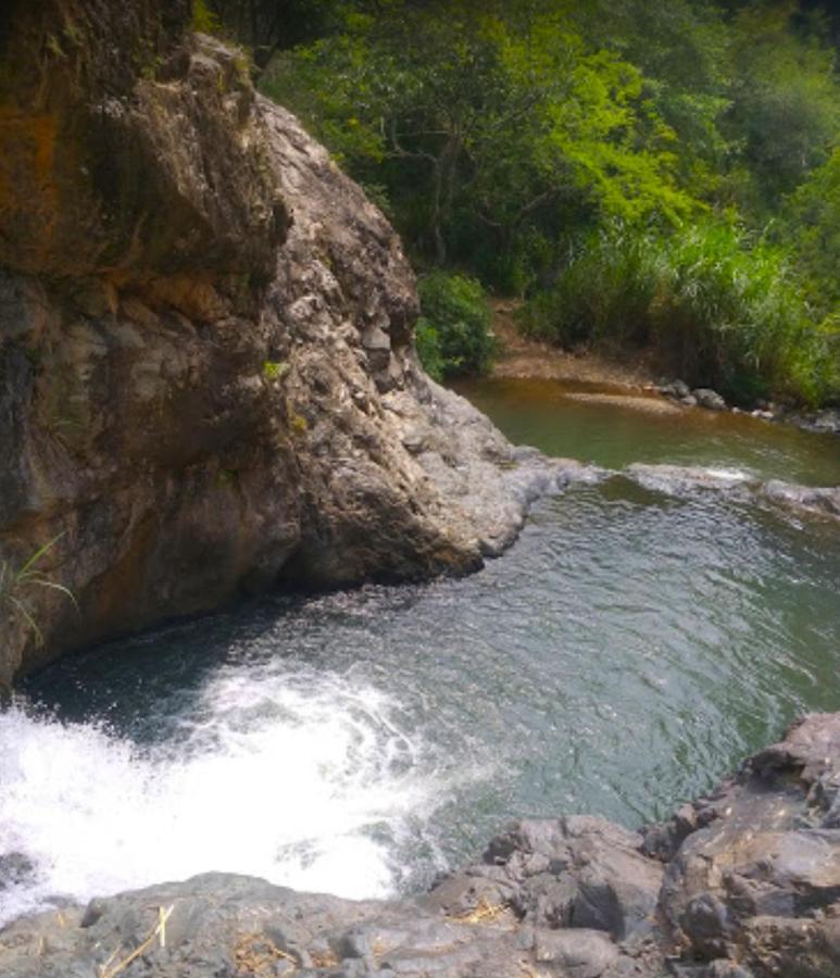 Del Rio Farm River * Cali