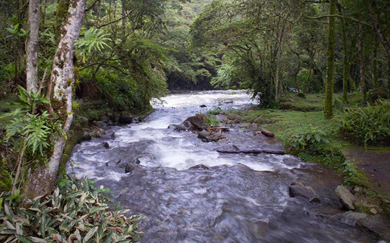 Del Rio Farm River *